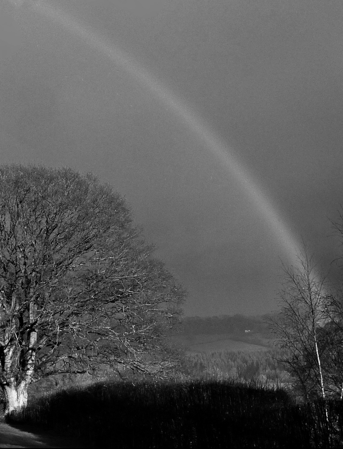 our reflection in black & white