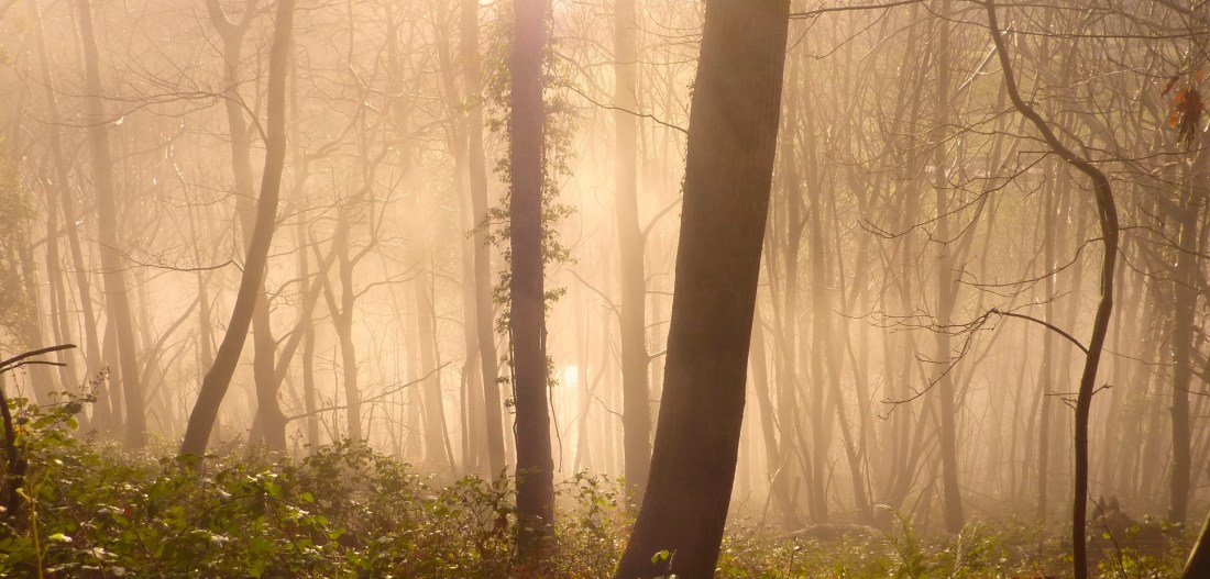 poetry not always visible