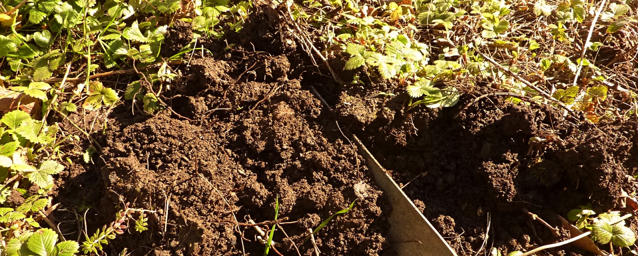 the poetry of soil by Five