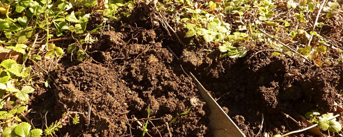 the poetry of soil by Five