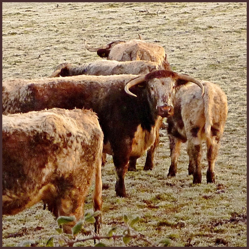 Watching - poem & photo by Five