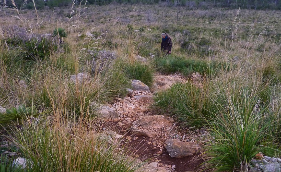 waiting for the peaches to fall