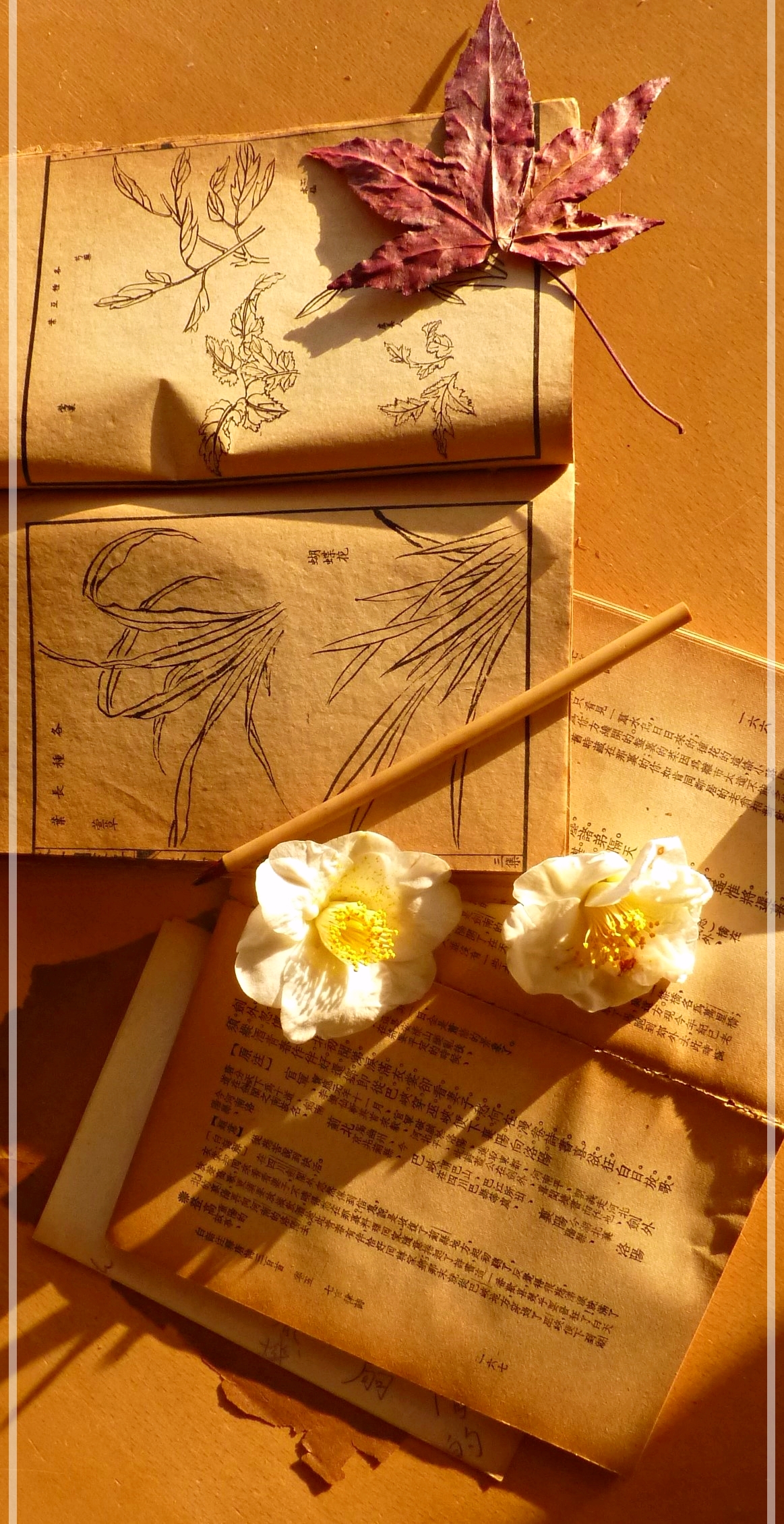 on the mountain of Less